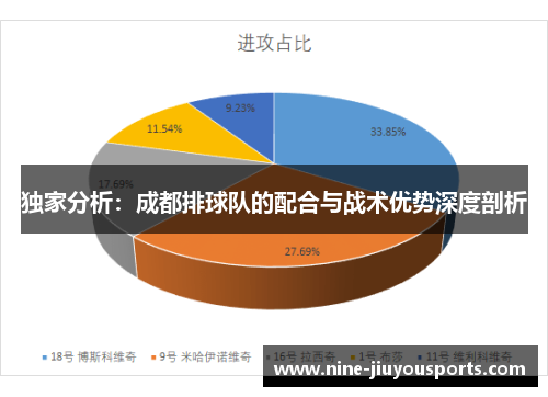 独家分析：成都排球队的配合与战术优势深度剖析